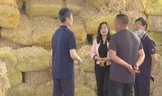 内蒙古农业大学专业 内蒙古农业大学专业