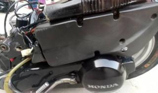 新大洲本田茜茜公主